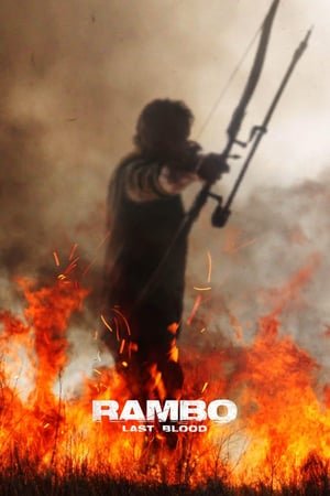 რემბო: უკანასკნელი სისხლი  / rembo: ukanaskneli sisxli  / Rambo: Last Blood