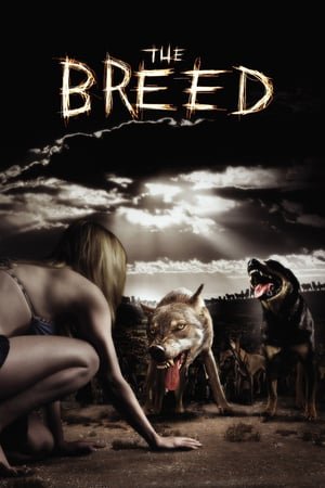 ხროვა  / xrova  / The Breed