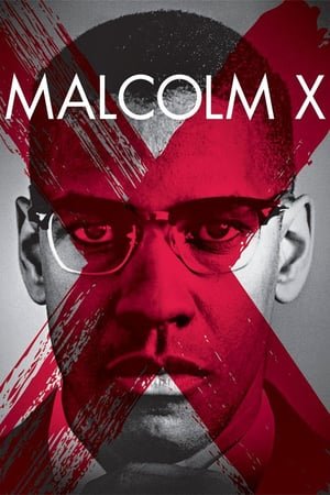 მალკოლმ X | Malcolm X