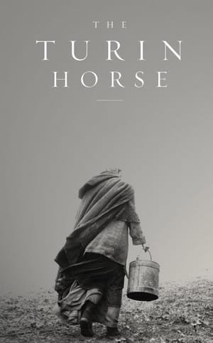 ტურინის ცხენი  / turinis cxeni  / The Turin Horse