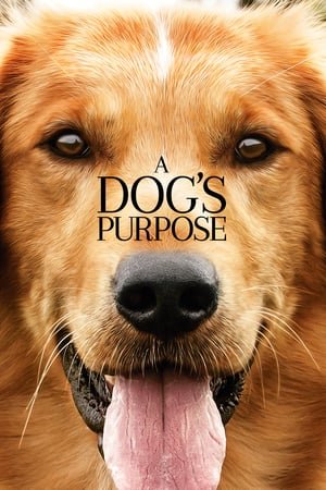 ძაღლური ცხოვრება / A Dog's Purpose