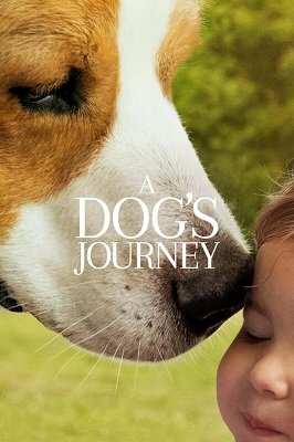 ძაღლის მოგზაურობა  / dzaglis mogzauroba  / A Dog's Journey