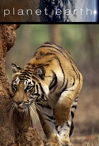 პლანეტა დედამიწა / Planet Earth