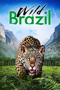 ველური ბრაზილია  / veluri brazilia  / Wild Brazil