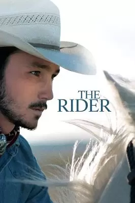 მხედარი  / mxedari  / The Rider