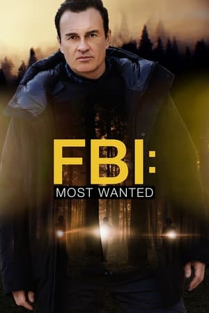 გამოძიების ფედერალური ბიურო: იძებნება / FBI: Most Wanted