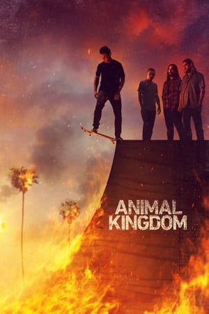 ცხოველთა სამეფო / Animal Kingdom