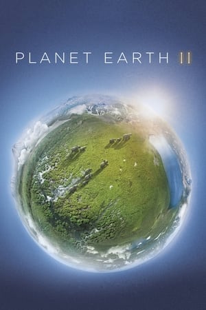 პლანეტა დედამიწა II / Planet Earth II