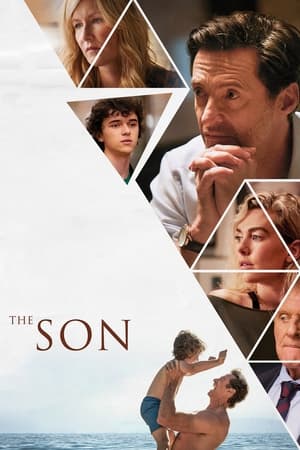 ვაჟიშვილი | THE SON