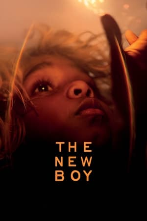 ახალი ბიჭი | THE NEW BOY