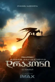 როგორ მოვათვინიეროთ დრაკონი / How to Train Your Dragon