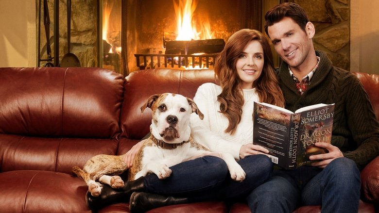 სიყვარული ზამთარში / Winter Love Story